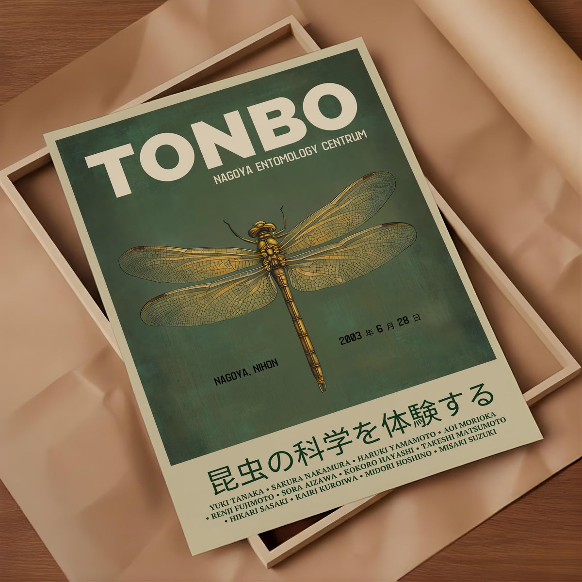 Tonbo Dragonfly Exhibition Print Nagoya Japanese Wall Art - Digital Download